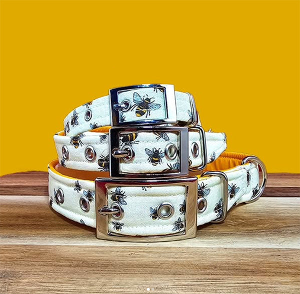 Collars