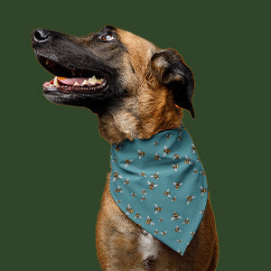 Bandana