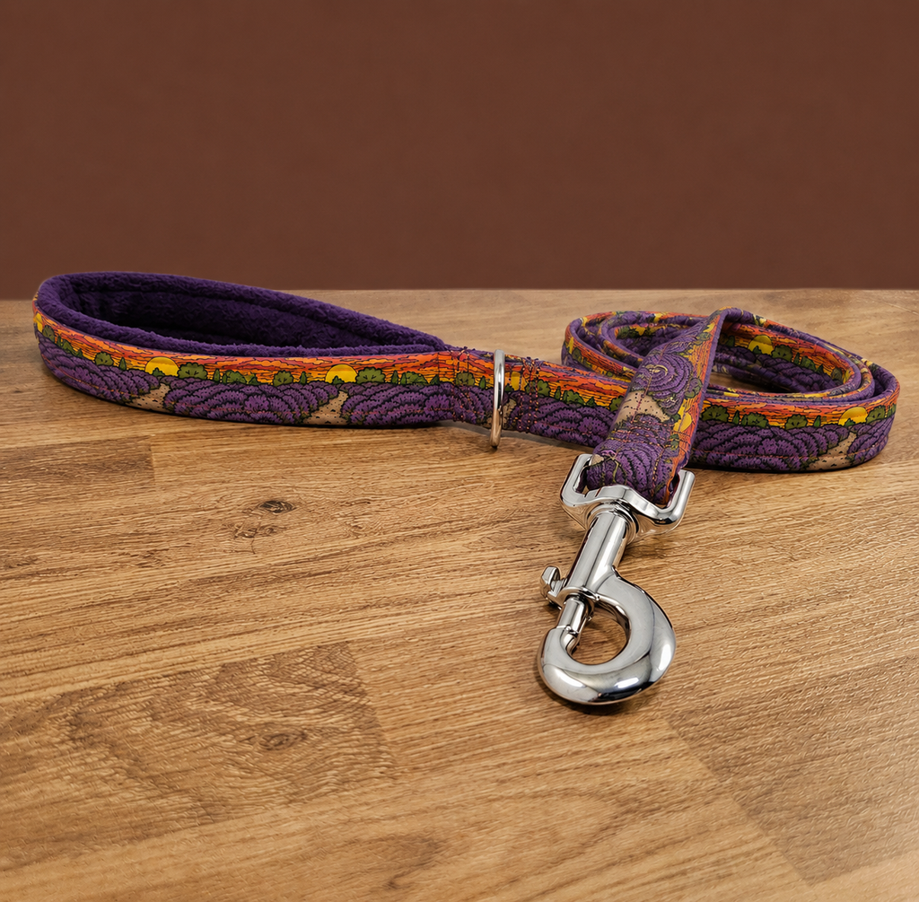 Dunwich Heath Dog Lead
