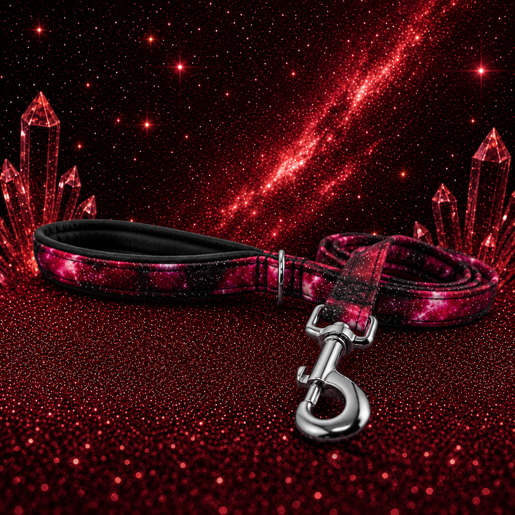 Burgundy Galaxy Dog Lead