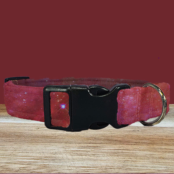Burgundy Dog Collar