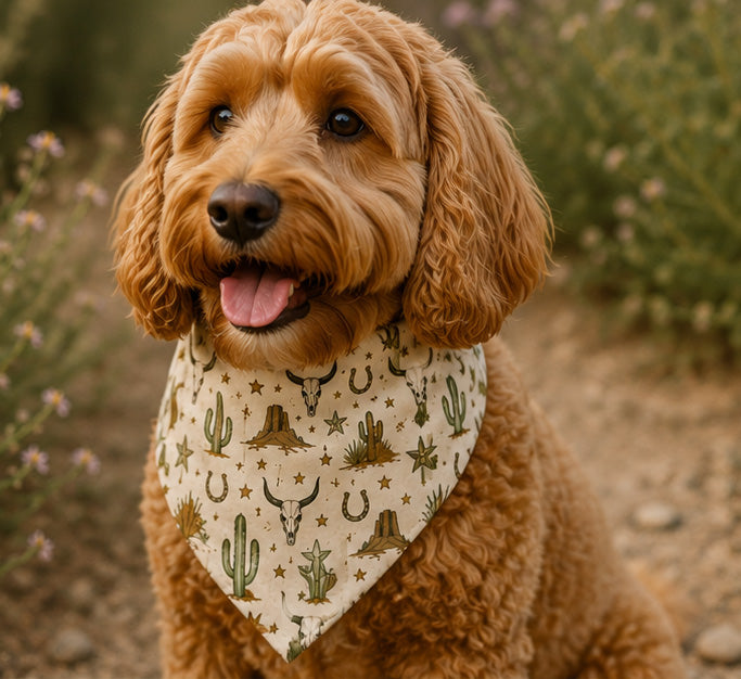 Cowboy Western Bandana