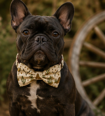 Scotties on the Heath Bow Tie / Sailor Bow