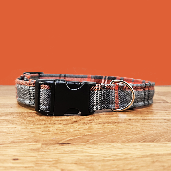 Orange & Grey Dog Collar