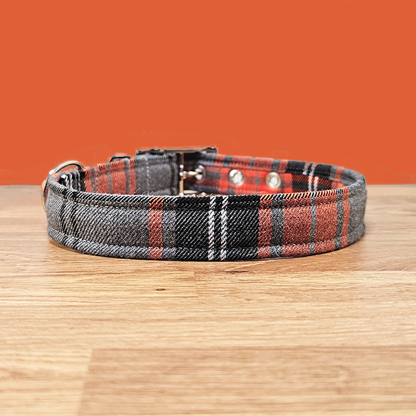 Orange & Grey Dog Collar