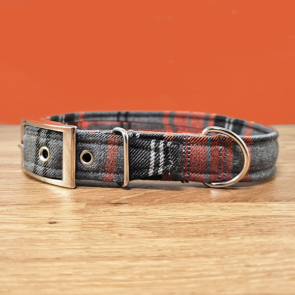 Orange & Grey Dog Collar