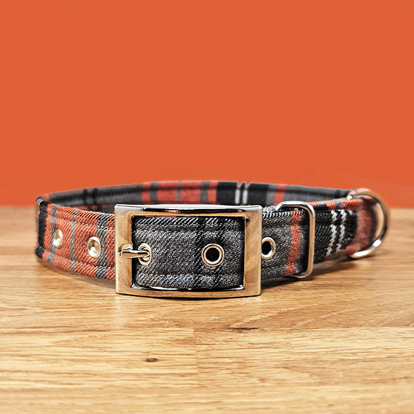 Orange & Grey Dog Collar