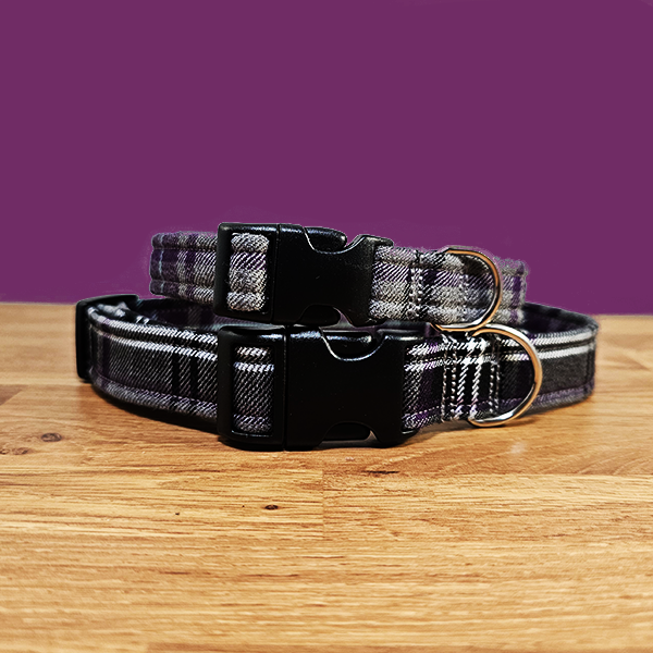 Purple & Grey Dog Collar