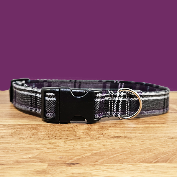 Purple & Grey Dog Collar