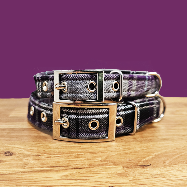 Purple & Grey Dog Collar