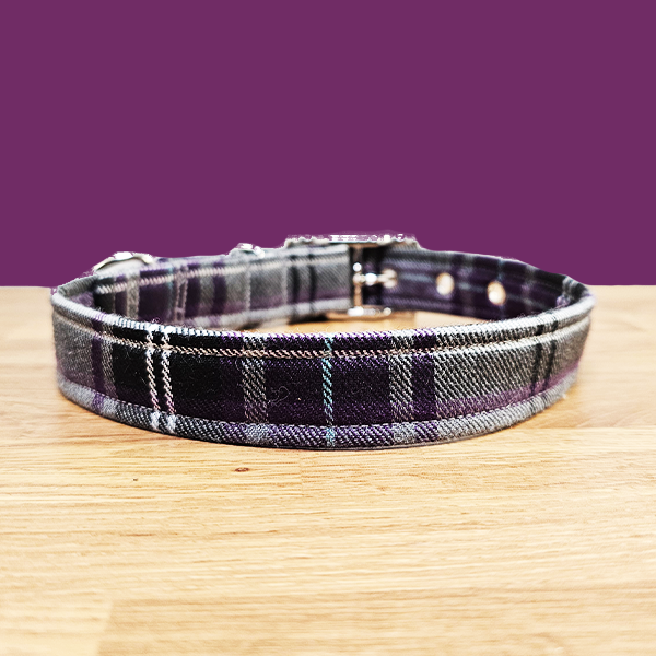 Purple & Grey Dog Collar