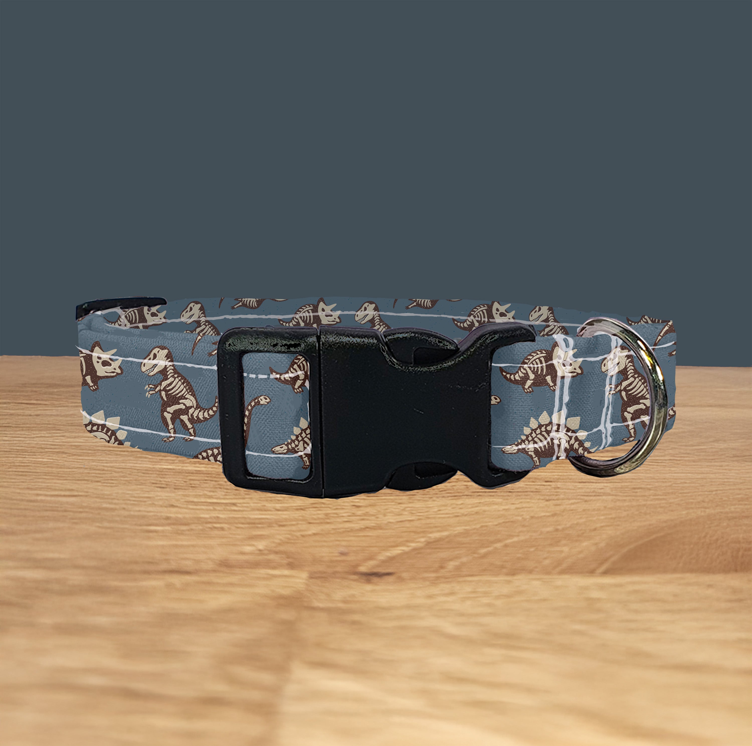Dinosaur Skeleton Dog Collar