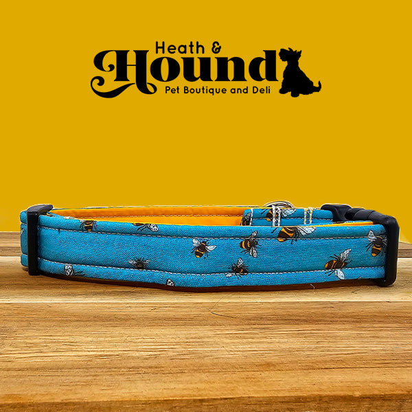 Teal Bee Dog Collar